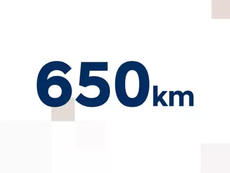 650